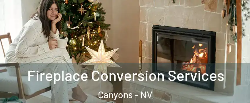 Fireplace Conversion Services Canyons - NV