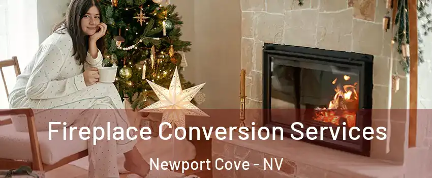 Fireplace Conversion Services Newport Cove - NV