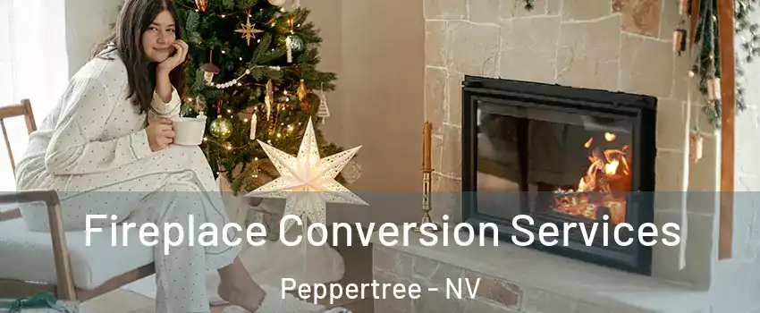 Fireplace Conversion Services Peppertree - NV
