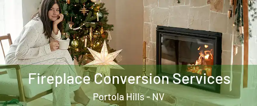 Fireplace Conversion Services Portola Hills - NV