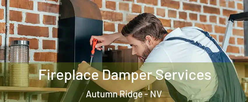 Fireplace Damper Services Autumn Ridge - NV