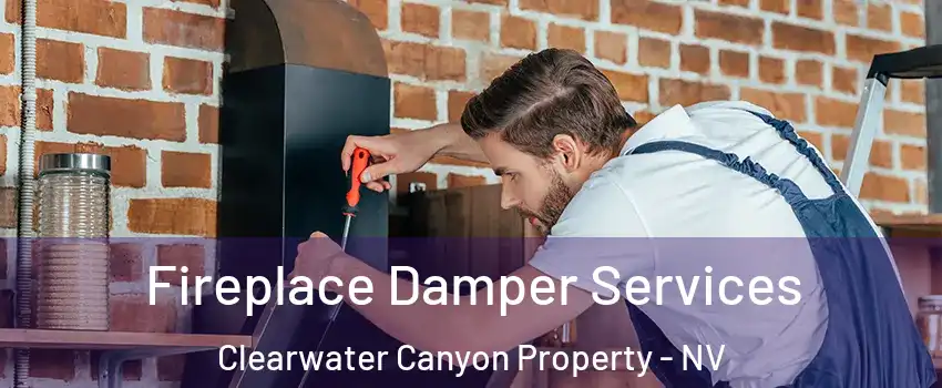 Fireplace Damper Services Clearwater Canyon Property - NV
