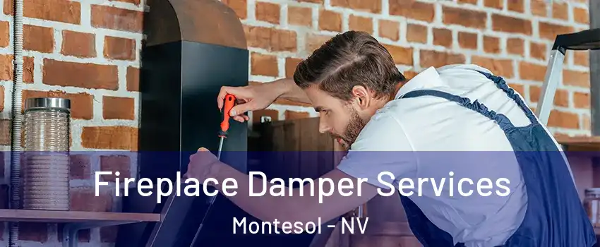Fireplace Damper Services Montesol - NV