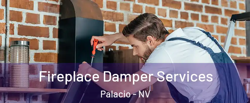 Fireplace Damper Services Palacio - NV