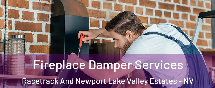 Fireplace Damper Services Racetrack And Newport Lake Valley Estates - NV