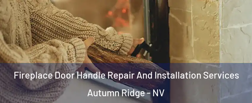 Fireplace Door Handle Repair And Installation Services Autumn Ridge - NV