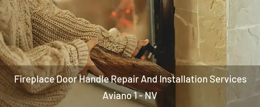 Fireplace Door Handle Repair And Installation Services Aviano 1 - NV