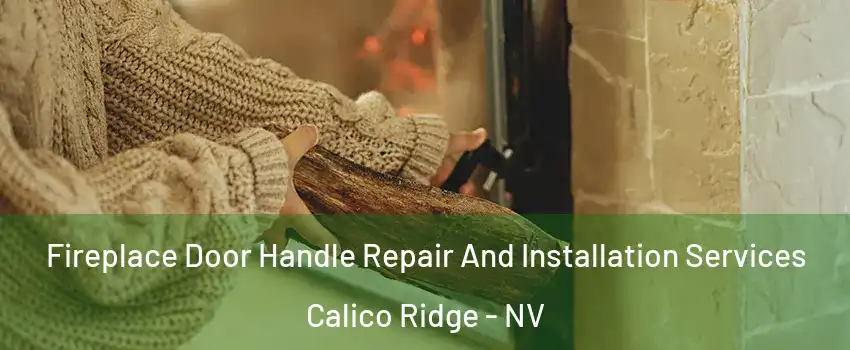 Fireplace Door Handle Repair And Installation Services Calico Ridge - NV