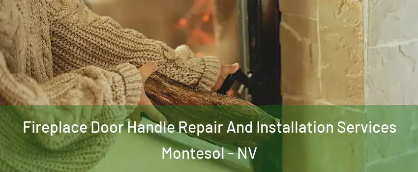 Fireplace Door Handle Repair And Installation Services Montesol - NV