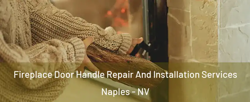 Fireplace Door Handle Repair And Installation Services Naples - NV