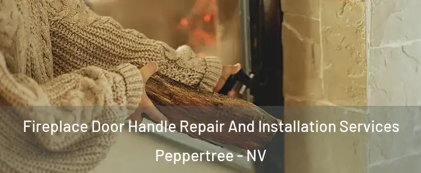 Fireplace Door Handle Repair And Installation Services Peppertree - NV