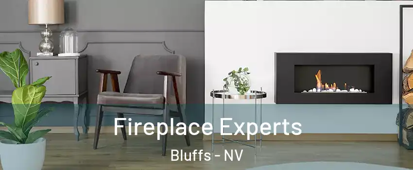 Fireplace Experts Bluffs - NV