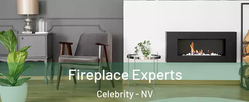 Fireplace Experts Celebrity - NV
