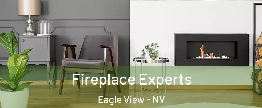 Fireplace Experts Eagle View - NV