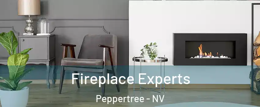 Fireplace Experts Peppertree - NV
