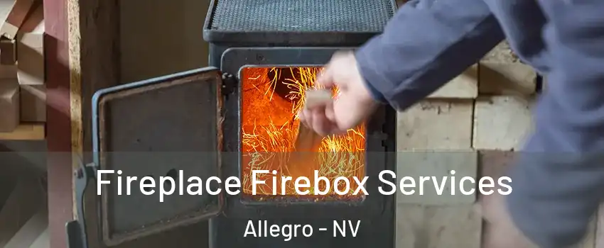 Fireplace Firebox Services Allegro - NV