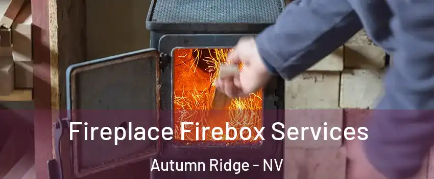Fireplace Firebox Services Autumn Ridge - NV