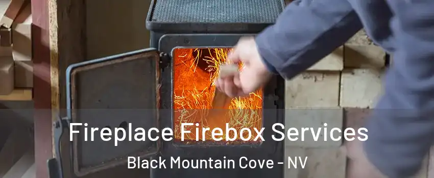 Fireplace Firebox Services Black Mountain Cove - NV
