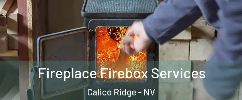 Fireplace Firebox Services Calico Ridge - NV