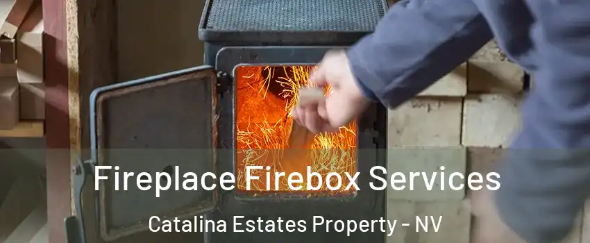 Fireplace Firebox Services Catalina Estates Property - NV