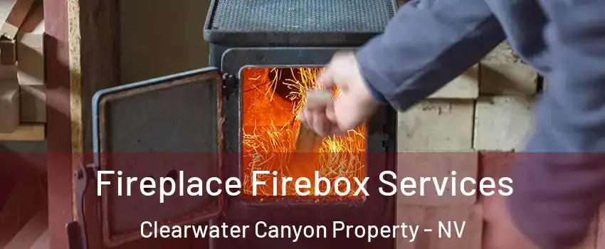 Fireplace Firebox Services Clearwater Canyon Property - NV