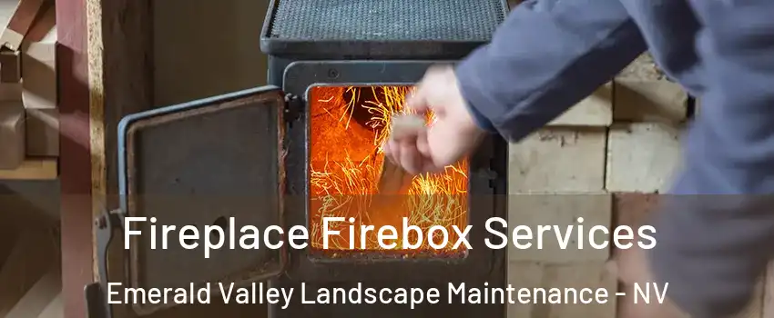 Fireplace Firebox Services Emerald Valley Landscape Maintenance - NV