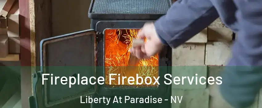 Fireplace Firebox Services Liberty At Paradise - NV