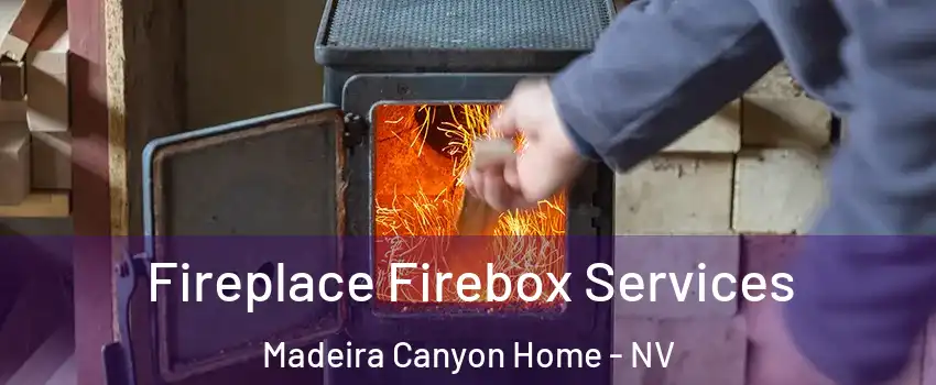 Fireplace Firebox Services Madeira Canyon Home - NV