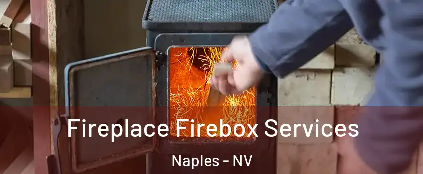 Fireplace Firebox Services Naples - NV