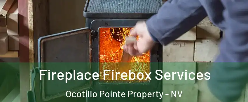 Fireplace Firebox Services Ocotillo Pointe Property - NV