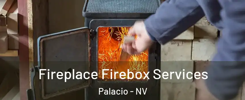 Fireplace Firebox Services Palacio - NV