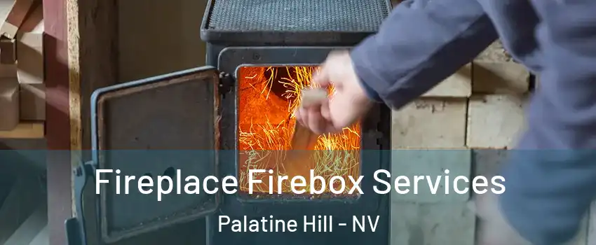 Fireplace Firebox Services Palatine Hill - NV