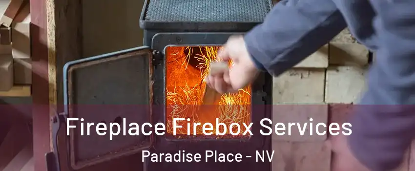 Fireplace Firebox Services Paradise Place - NV