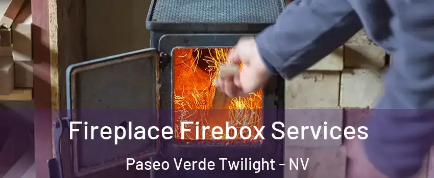 Fireplace Firebox Services Paseo Verde Twilight - NV