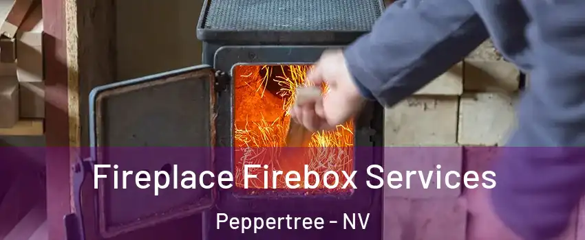 Fireplace Firebox Services Peppertree - NV