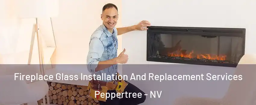 Fireplace Glass Installation And Replacement Services Peppertree - NV