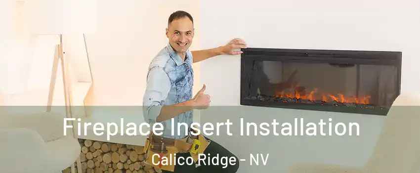 Fireplace Insert Installation Calico Ridge - NV