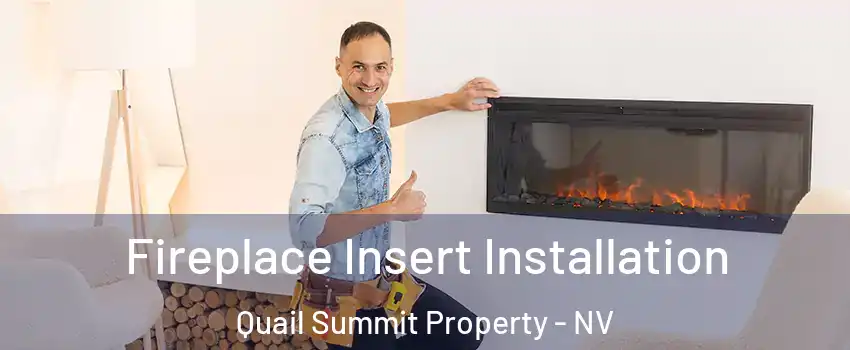 Fireplace Insert Installation Quail Summit Property - NV