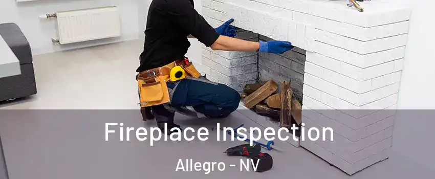 Fireplace Inspection Allegro - NV