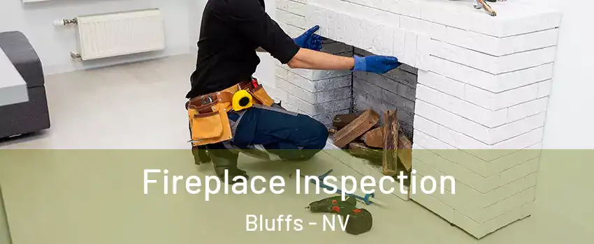 Fireplace Inspection Bluffs - NV