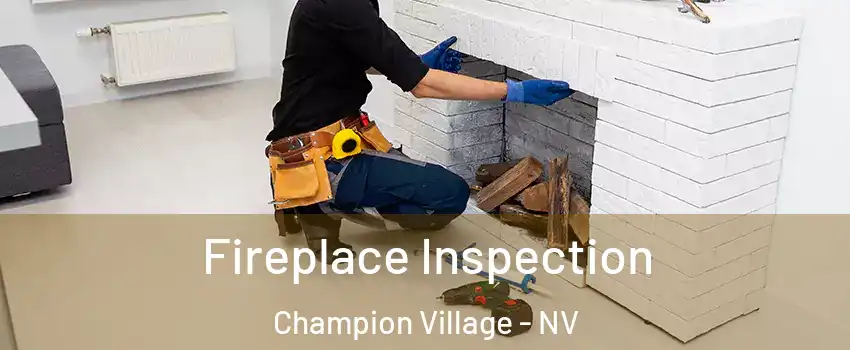 Fireplace Inspection Champion Village - NV