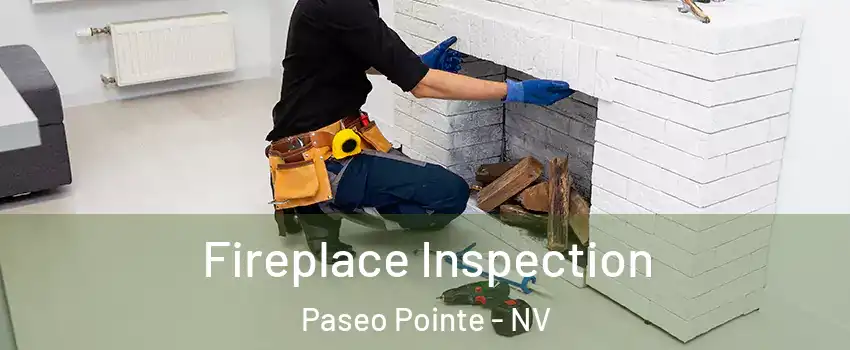 Fireplace Inspection Paseo Pointe - NV