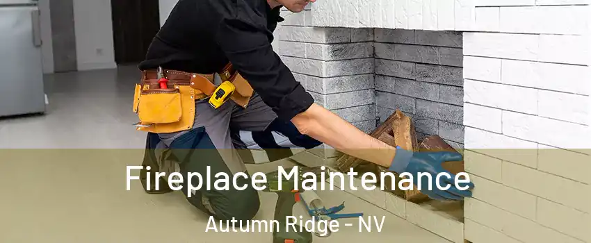 Fireplace Maintenance Autumn Ridge - NV