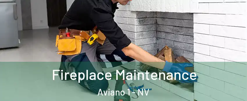 Fireplace Maintenance Aviano 1 - NV