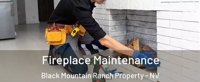 Fireplace Maintenance Black Mountain Ranch Property - NV