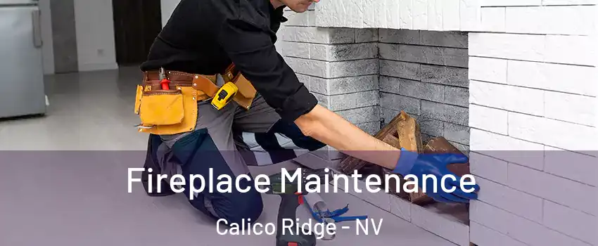 Fireplace Maintenance Calico Ridge - NV