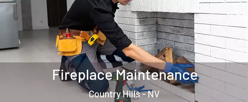 Fireplace Maintenance Country Hills - NV