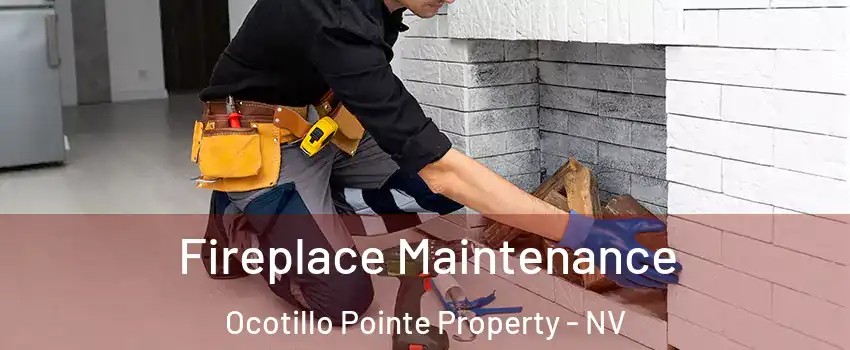 Fireplace Maintenance Ocotillo Pointe Property - NV