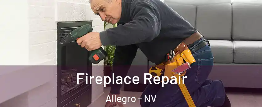 Fireplace Repair Allegro - NV