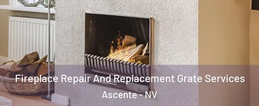 Fireplace Repair And Replacement Grate Services Ascente - NV